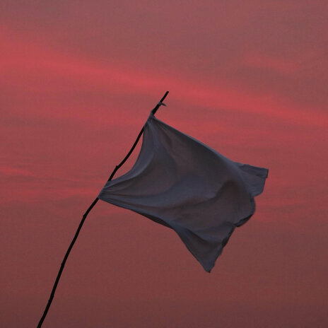 We Don't Pledge Allegiance to the Man cover art