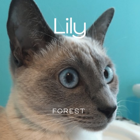 Lily cover art