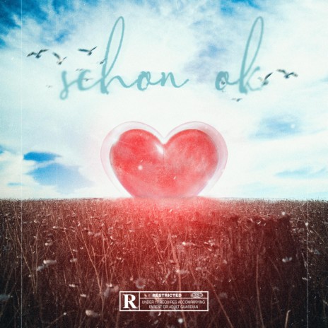 Schon Ok ft. Kosy cover art