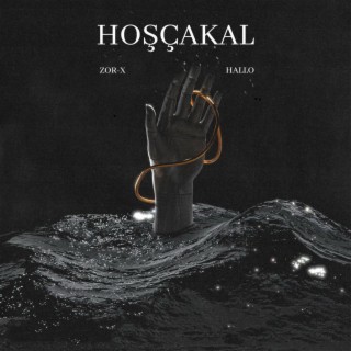 HOŞÇAKAL ft. zorx cover art