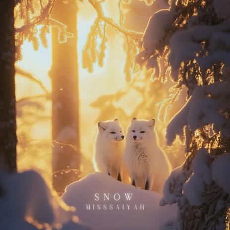 Snow cover art