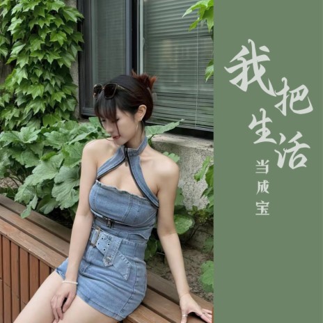 我把生活当成宝 (伴奏) cover art