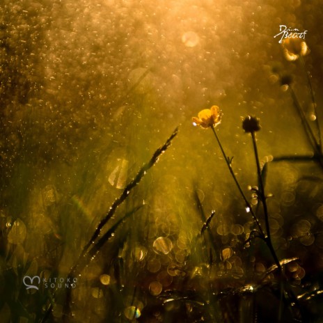 Tormenta ft. Kitoko Sound & Jazzy Rhodes cover art