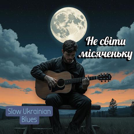 Не світи місяченьку cover art