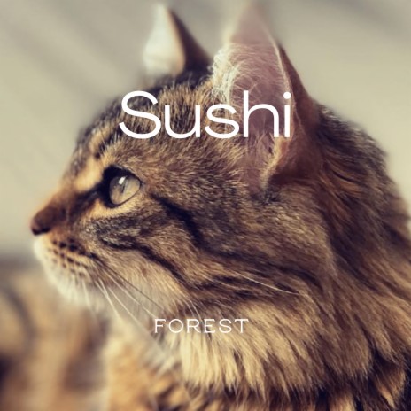 Sushi cover art