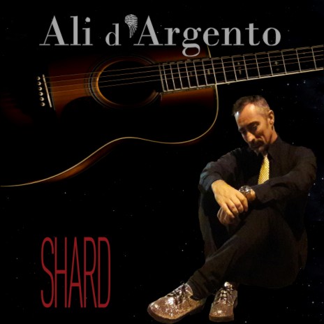 Ali d'Argento cover art