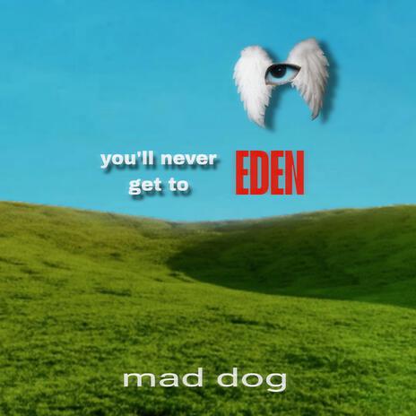 Observation cover art