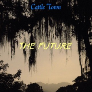 Cattle Town