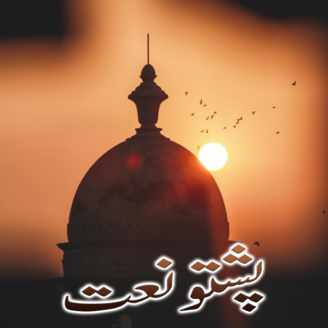 غم دی کړم له حده ډېر خفه جانانه څه شولي cover art