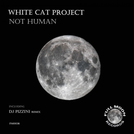 Not Human cover art