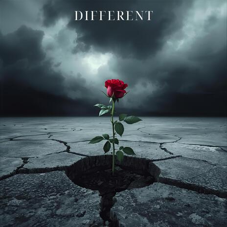 Different cover art