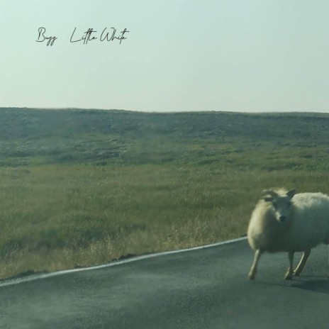 Little White cover art