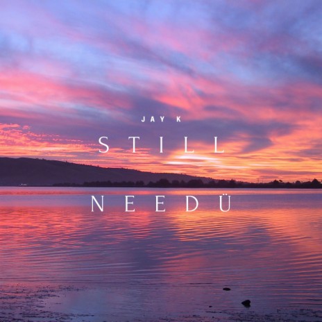 Still Need Ü cover art