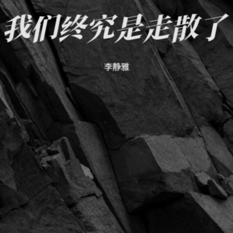 我们终究是走散了 cover art