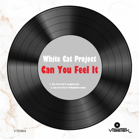 Can You Feel It (D-Richhard remix) cover art
