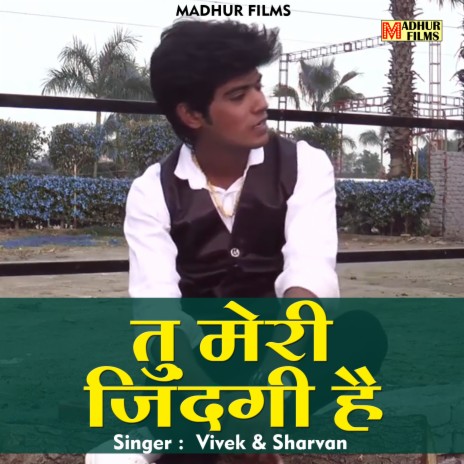 Tu Meri Jindagi Hai (Hindi) ft. Sharvan cover art