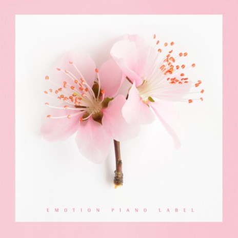 Someone who loves you cover art