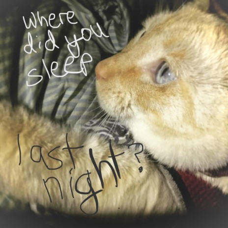 Where Did You Sleep Last Night cover art