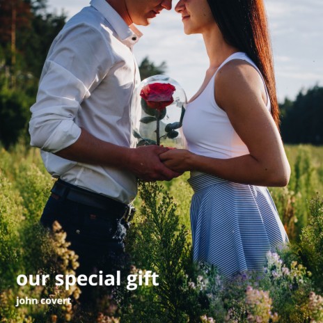 Our Special Gift cover art