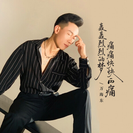 轰轰烈烈的梦痛痛快快的痛（节奏版） cover art