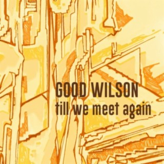 Till We Meet Again cover art