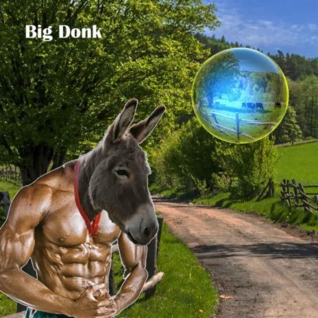 Big Donk cover art