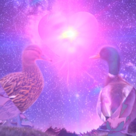 A rare kind cover art