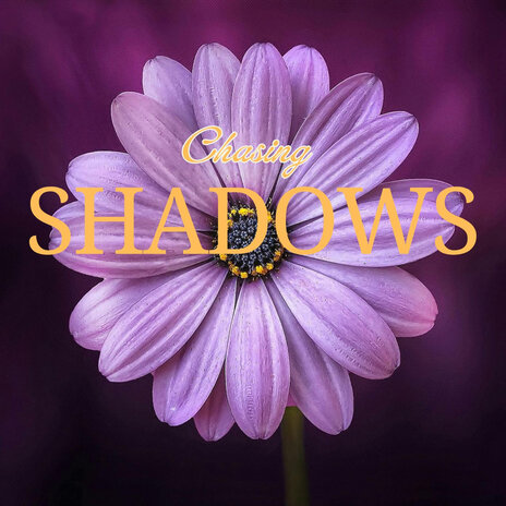 Chasing Shadows