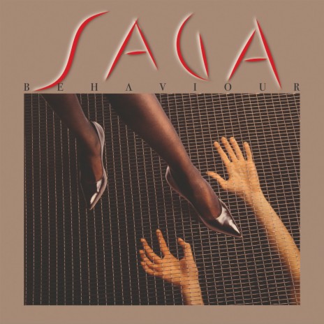 Misbehaviour cover art