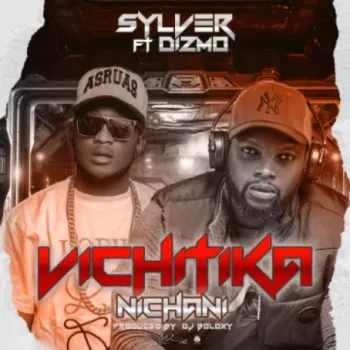Vichitika nichani cover art