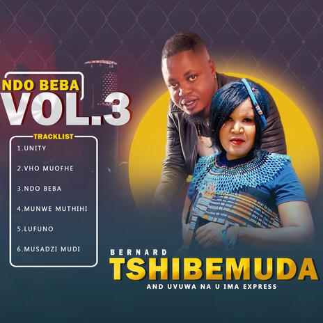 Musadzi mudi cover art