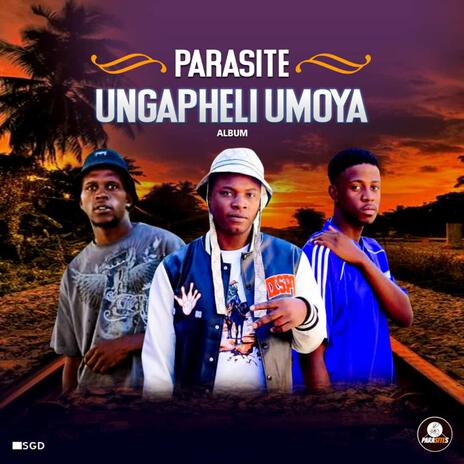 Ungapheli Moya cover art