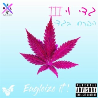 גדי וי 3 cover art