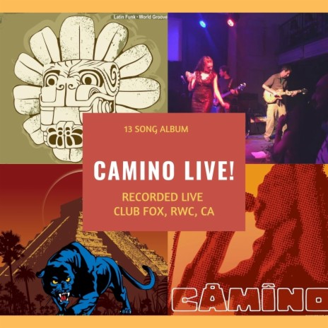 Hang on to Your Love (Live) cover art
