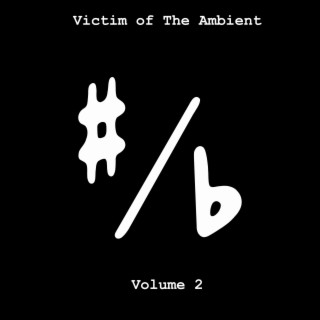 Volume 2