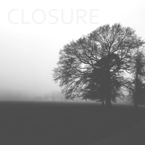Walk cover art