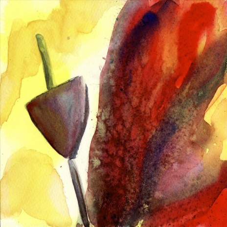 Forgiveness cover art
