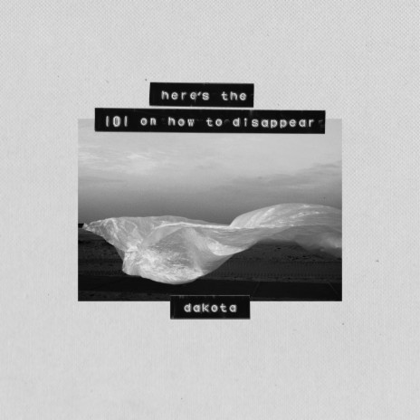 101 cover art