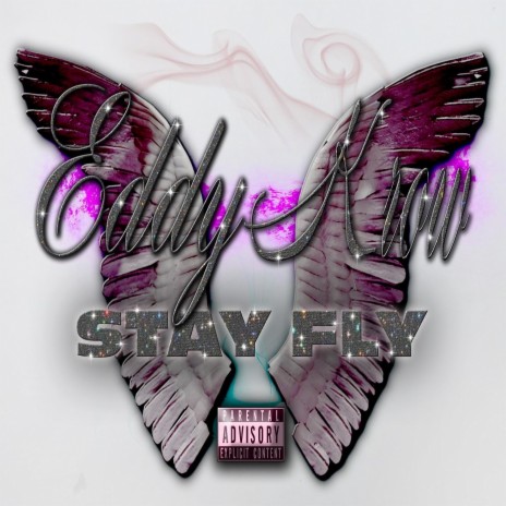 Stay Fly cover art