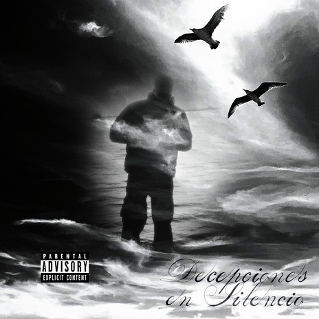 Decepciones en Silencio cover art
