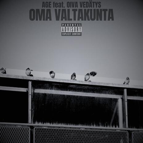 Oma valtakunta ft. Oiva Vedätys cover art