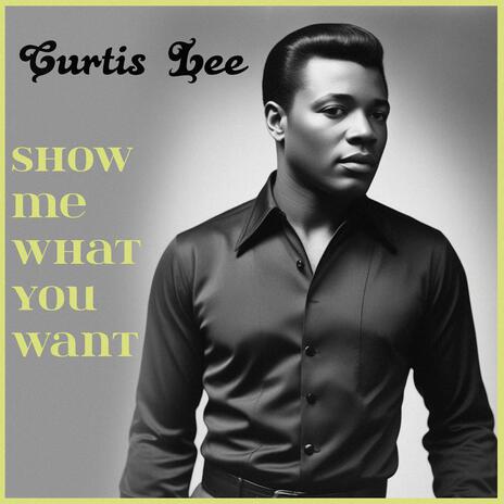 Show Me What You Want cover art