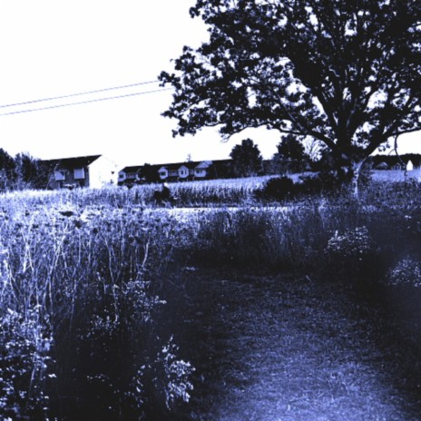 Breevis cover art