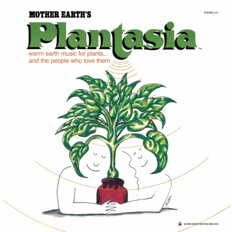 Concerto for Philodendron & Pothos cover art
