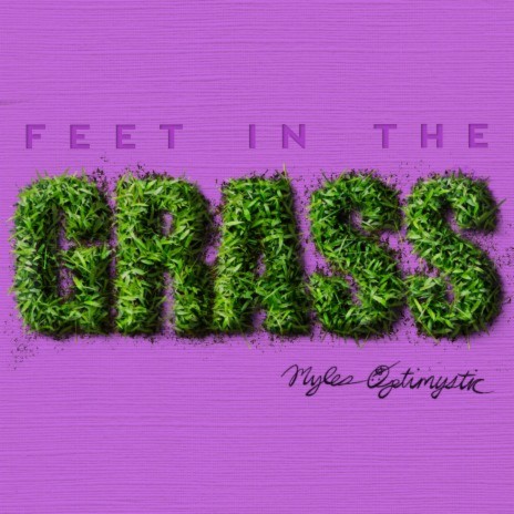 Feet in the Grass (Radio Edit) cover art