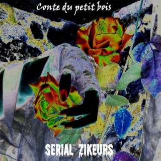 Conte Du Petit Bois