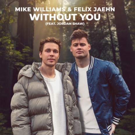 Without You ft. Felix Jaehn & Jordan Shaw cover art