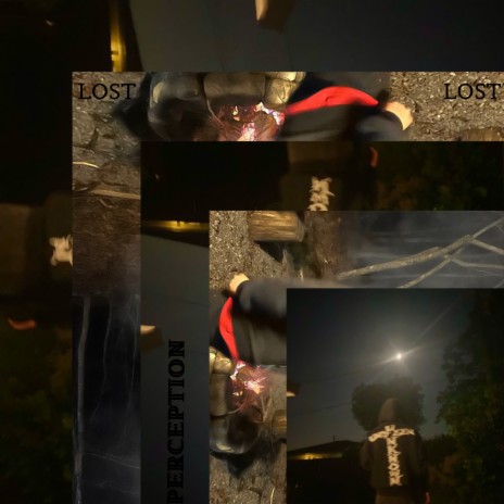 Lost Perception cover art