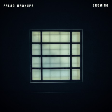 Believing cover art