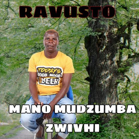 MANO MUDZUMBA ZWIVHI ft. PROEF cover art